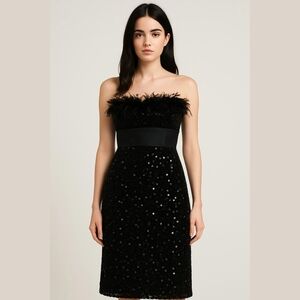 Black Strapless Dress with Feather Accents, Elegant